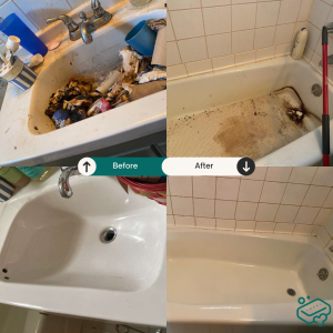 Before and After 0516