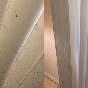 Before-and-After-Picture-Ideal-Professional-Janitorial-Service-2-ri8h95kdjx3f4u60qr3yd8ac88cw9g3b1zbhgoiqt4