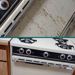 BeforeAfter-23-ri8h84wo5dp8k1n9ot9i5zjd27dkx91rwxvjqw13js