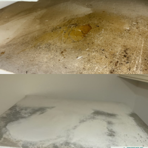 BeforeAfter-67-ri8hkbvat0epmj9xtnoqjilmuzq71sflus14w2h7vk